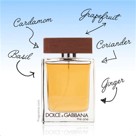 dolce gabbana man cologne review